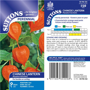 Chinese Lantern